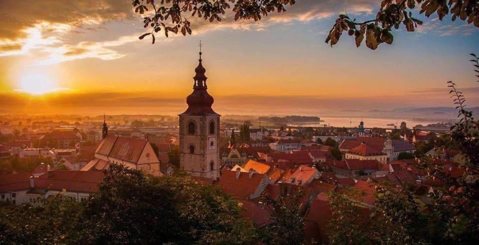 Hostel Sonce Ptuj Exterior photo