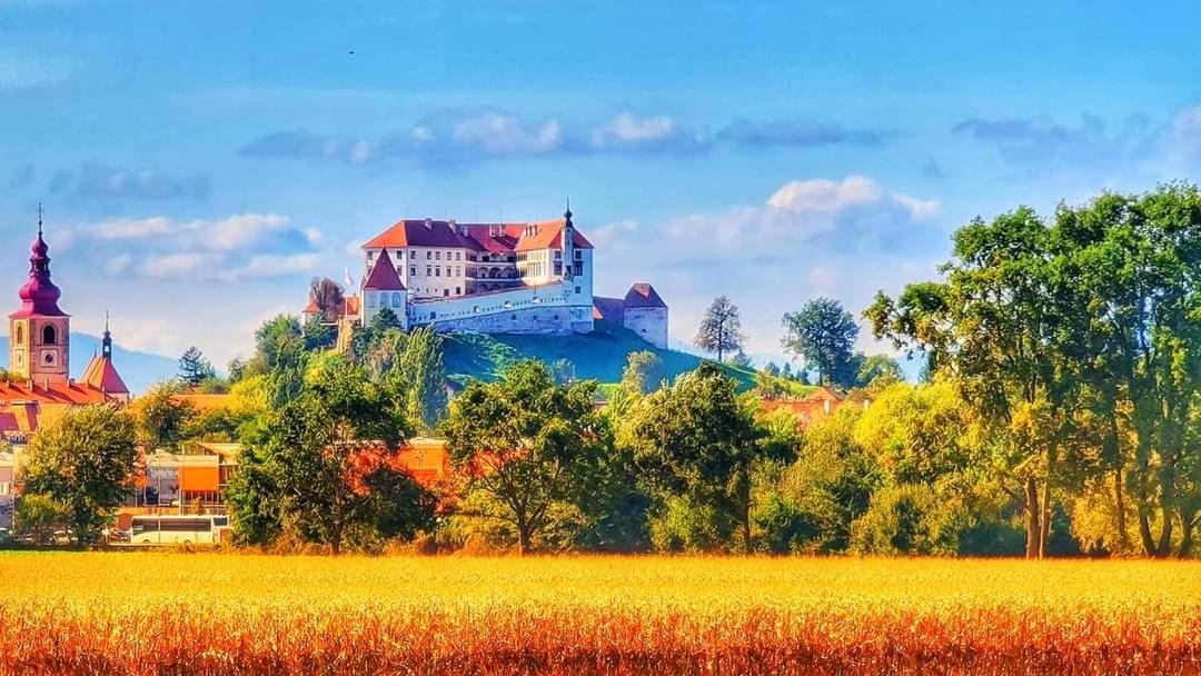 Hostel Sonce Ptuj Exterior photo