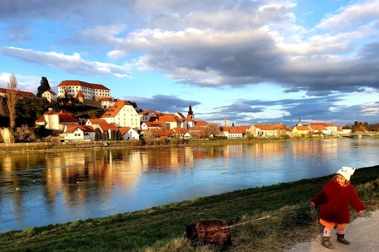 Hostel Sonce Ptuj Exterior photo