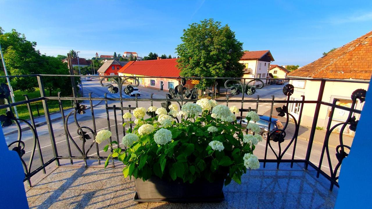 Hostel Sonce Ptuj Exterior photo